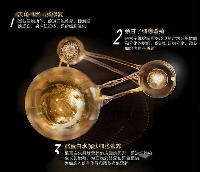 宝格丽CEO预计中国奢侈品市场将来24个月内将复苏